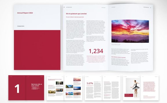 干净、现代的公司文件 (INDD)