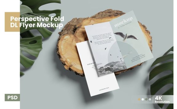 透视折叠DL传单模型样机 (PSD)