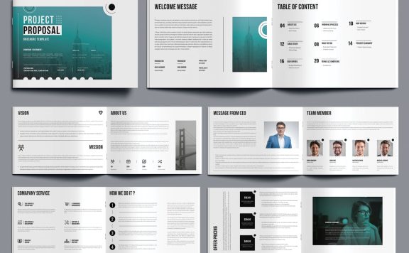 项目建议书布局 (INDD)