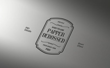 拆除纸质文字和徽标LOGO模型样机 (PSD)