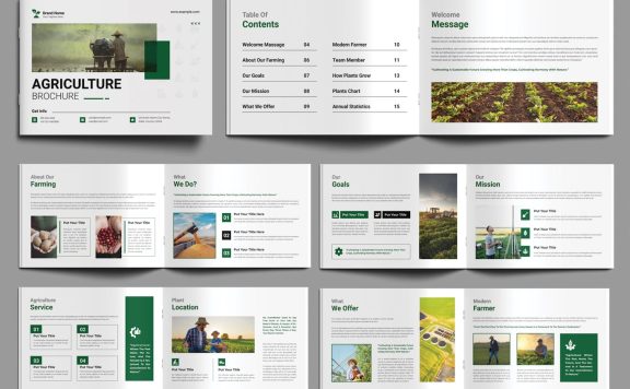 农业宣传册设计布局 (INDD)