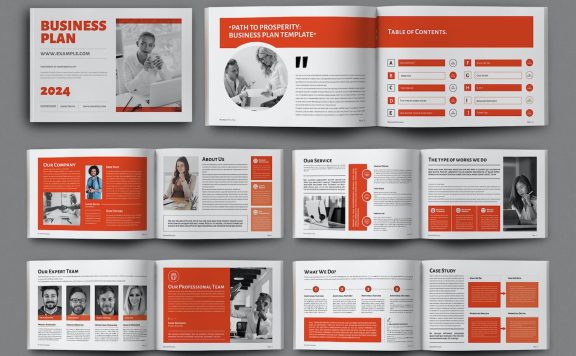 商业计划宣传册设计模板画册模版 (INDD)