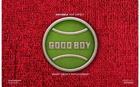 刺绣徽章LOGO模型样机 (PSD)