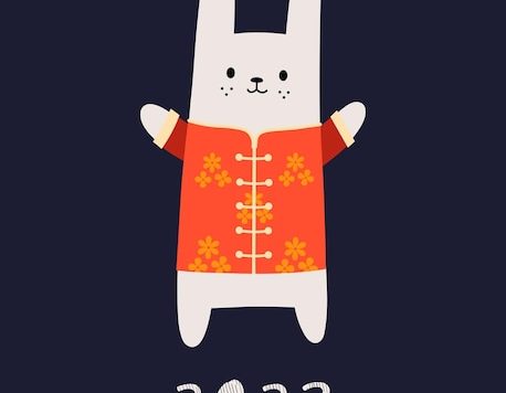 2023年喜庆兔年卡通动物海报设计素材[eps]