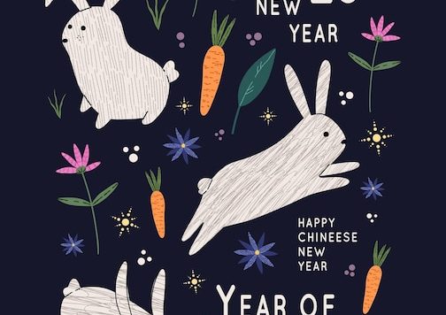 2023年新年兔年海报设计模板[eps]