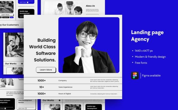 软件解决方案代理着陆页 (FIG)