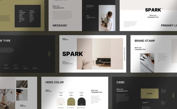 时尚高端专业的高品质品牌手册指南VI设计powerpoint幻灯片演示模板（pptx）