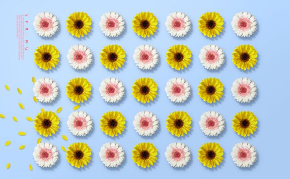 向日葵花朵排列春季图案海报设计素材 (psd)