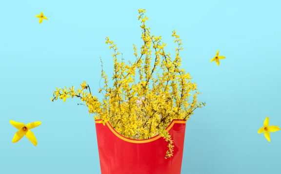 黄色花卉薯条春季概念海报设计素材 (psd)