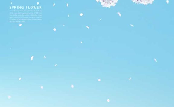 白色樱花蓝天风景手机壁纸背景素材 (psd)