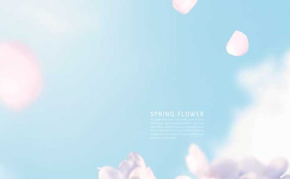 蓝天樱花春季主题手机壁纸背景素材 (psd)