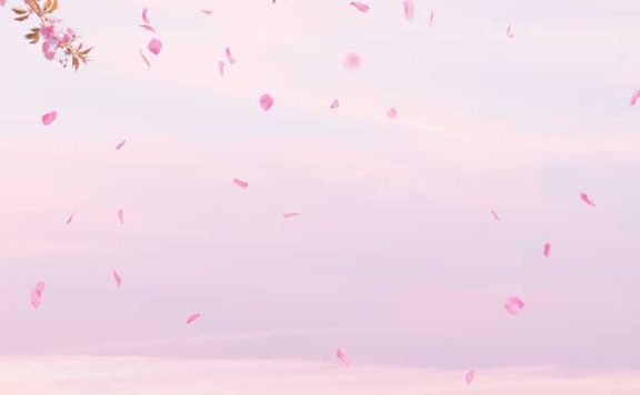 粉色花卉天空背景手机壁纸背景素材 (psd)