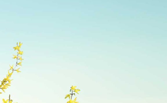 春季蓝天风景手机壁纸背景素材 (psd)