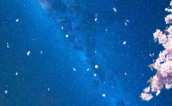 樱花银河星辰手机壁纸背景素材 (psd)