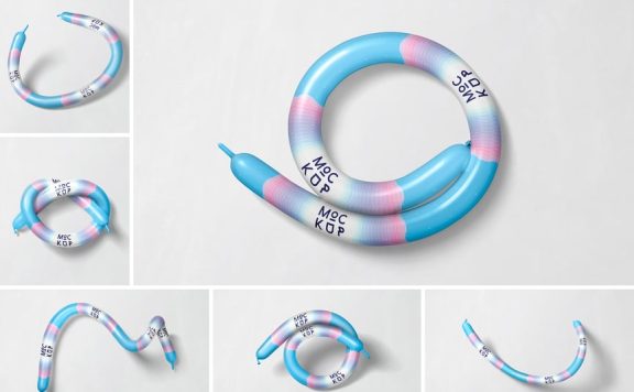 气球模型样机 (PSD)