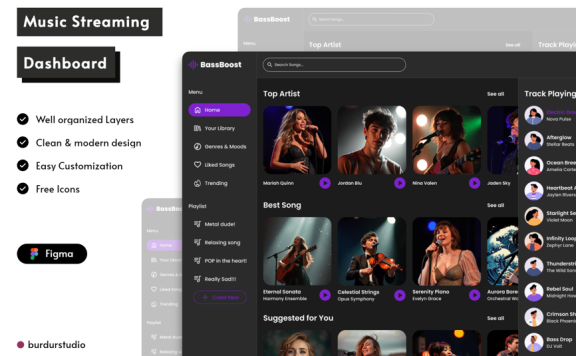 音乐流仪表板网页模板 (FIG)