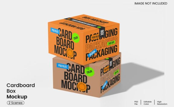 纸板箱模型样机 (PSD)