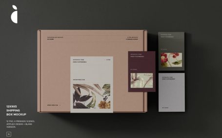 飞机盒快递盒包装设计样机（PSD）