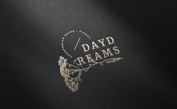 logo纸徽标模型样机 (PSD)