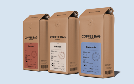 咖啡袋模型样机 (PNG)