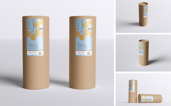 带标签模型的管盒样机 (PSD,PDF)