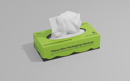 纸巾盒模型