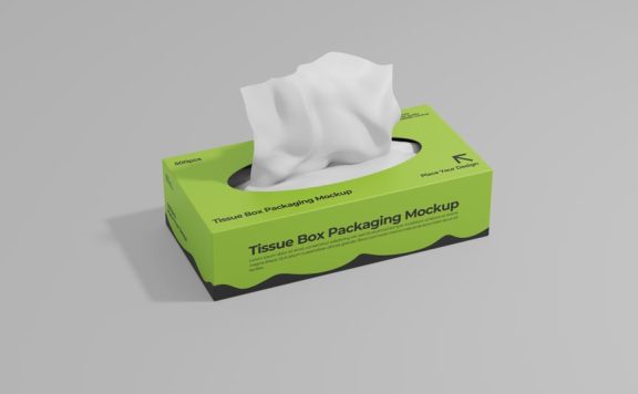 纸巾盒模型